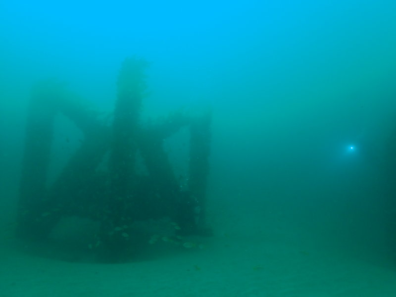 JD Reef